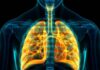 Lung Cancer Screening: Who Should Get Screened and Why?- Dr. Pratik Patil