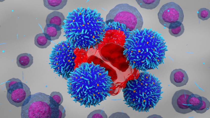 Common Questions About Immunotherapy Answered