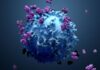 Image of Immunotherapy for cancer therapy