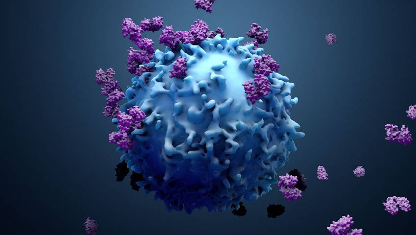 Low dose Immunotherapy Making Cancer therapy more affordable